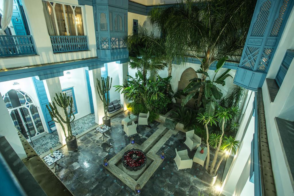 Le Perroquet Bleu & Marrakesch